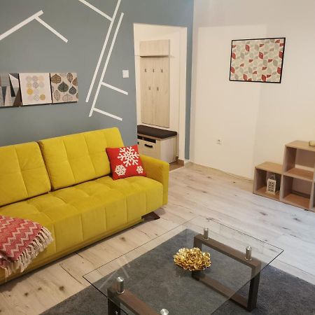 Apartament Downtown Lejlighed Cluj-Napoca Eksteriør billede